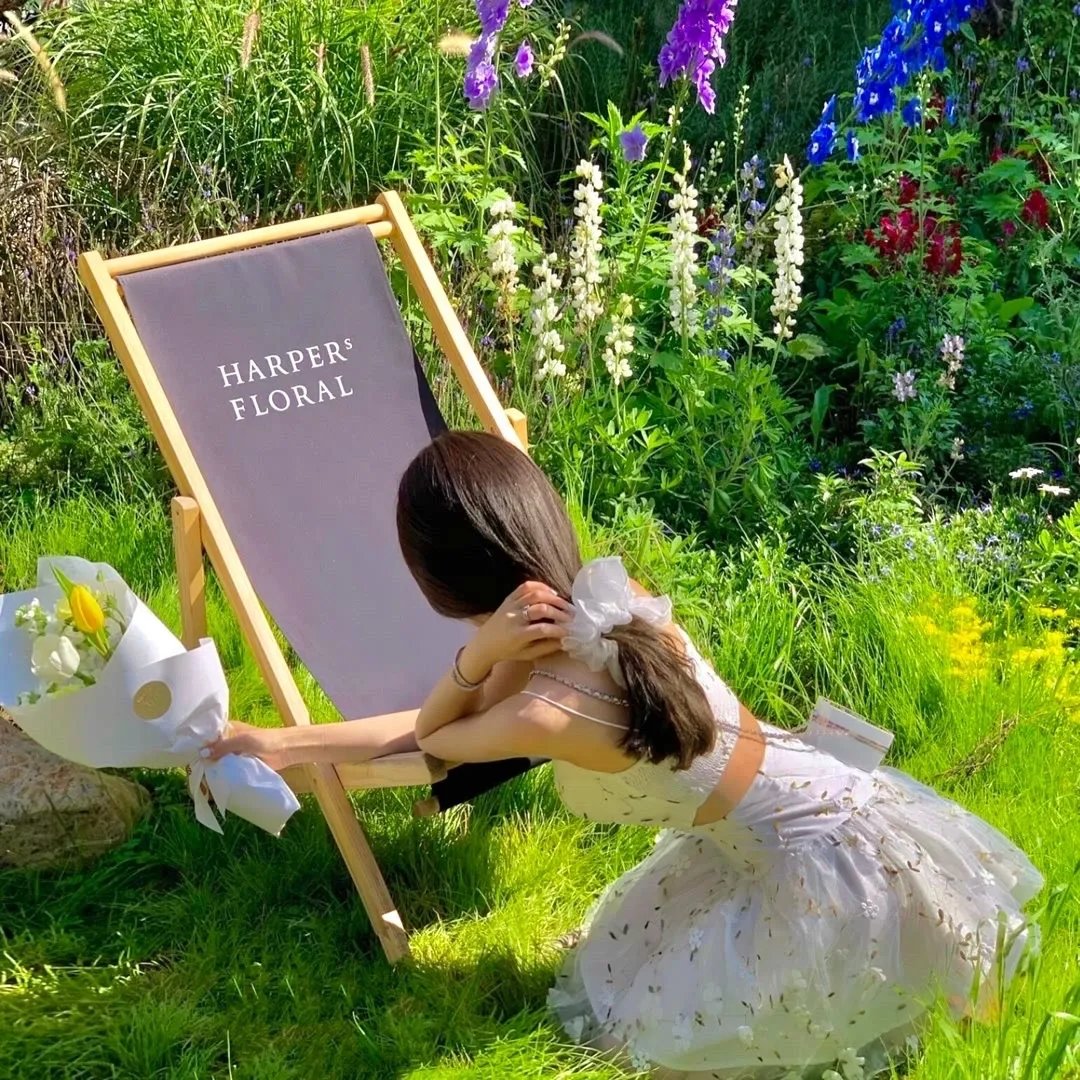 神秘博士第五季